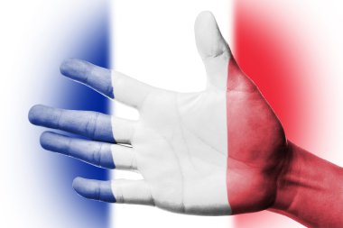 Fransa ulusal bayrak boyama