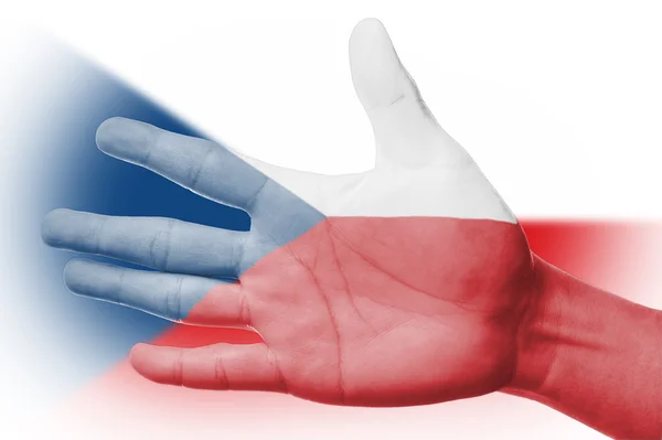 チェコ共和国の国旗を塗るとファンの応援 — ストック写真