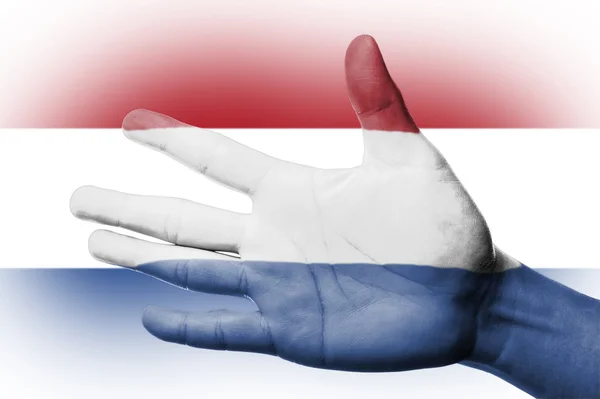 Painting Netherlands national flag — Stock Photo, Image