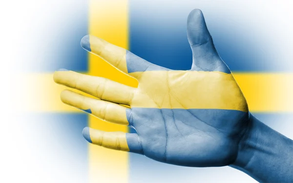 İsveç Ulusal bayrak boyama ile fan tezahürat — Stok fotoğraf