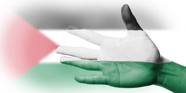 Azië juichen ventilator met Palestina nationale vlag met uw hand schilderij — Stockfoto