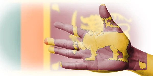 Målning sri Lankas flagga — Stockfoto
