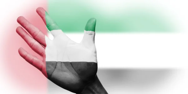 Ásia Fã de torcida com pintura Bandeira nacional dos Emirados Árabes Unidos — Fotografia de Stock