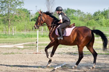 Girl riding a horse clipart