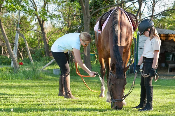 Girl sprays horse — Stock Photo, Image