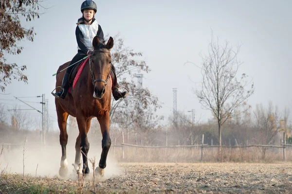 Дівчина верхи на коні — стокове фото