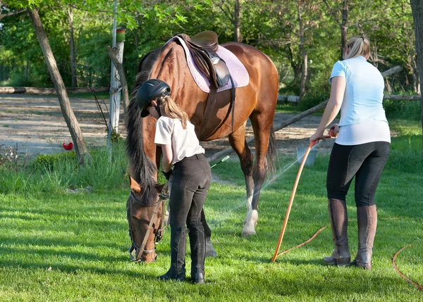Meisje sprays paard — Stockfoto