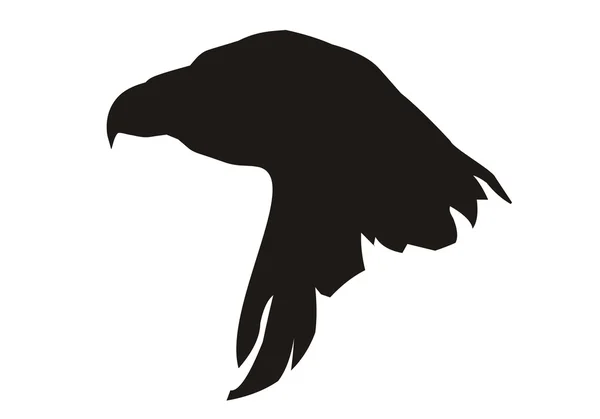 Hoofd van de adelaar — Stockvector