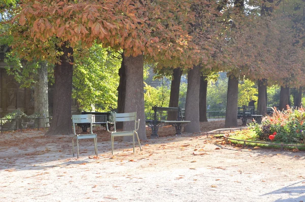 Old city park in sunshine early morning — Stock Photo, Image