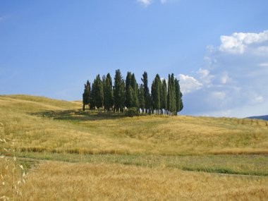 Orcia Valley, Toskana, İtalya