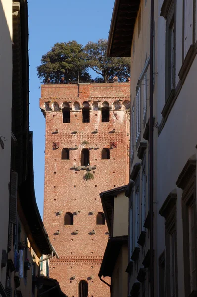 Башня Гвиниджи в Лукке, Италия — стоковое фото