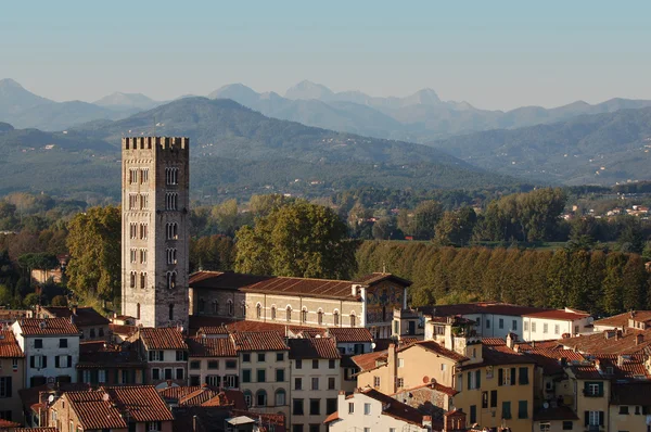 Lucca katedralen och panorama — Stockfoto