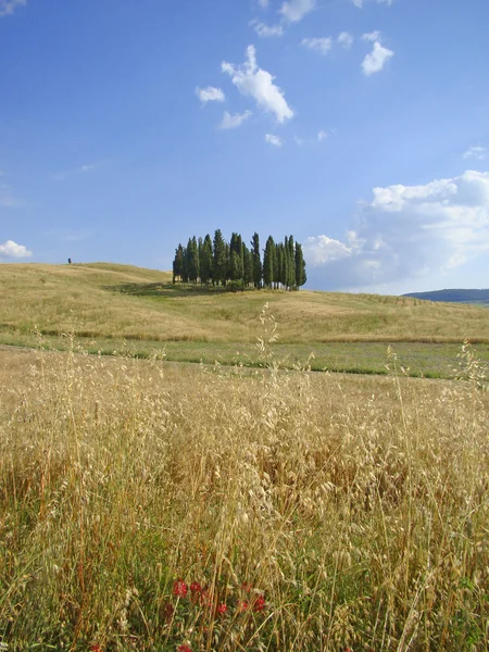 Orcia Valley, Tuscany — Stock Photo, Image