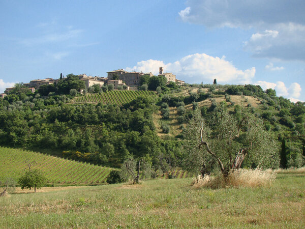 Medieval village in the Tuscan landscape