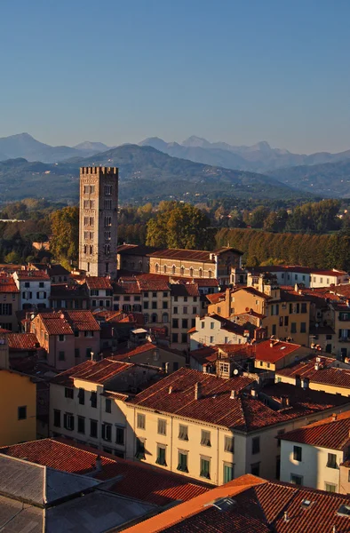 Panorama över lucca 2-Italien — Stockfoto