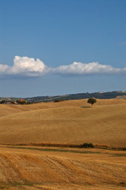Tuscan manzara 2