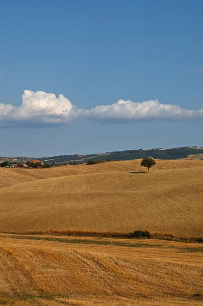 Tuscan Landscape 2 — Stock Photo, Image