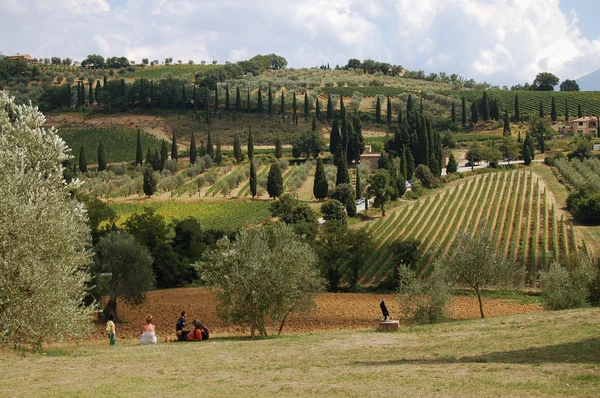 Toskanska landskapet. Landsbygd i typiskt toskansk natur — Stockfoto