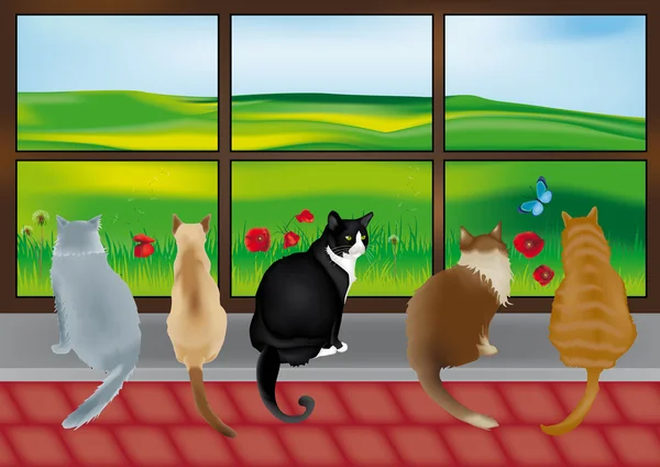 5 kotów w oknie — Wektor stockowy