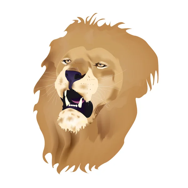 Leão cabeça —  Vetores de Stock