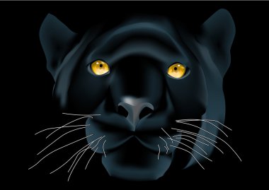 Panther face clipart