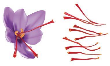 Saffron clipart