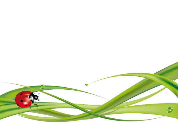 Ladybug on grass 2 — Stock Vector