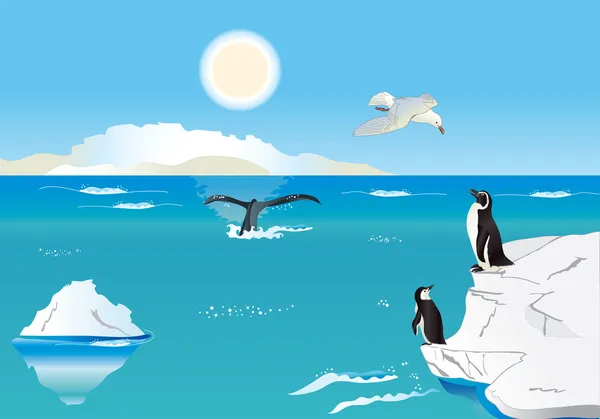 Pingüinos en el Polo Sur 1 — Archivo Imágenes Vectoriales