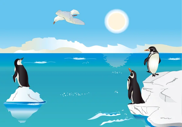 Pinguins no Pólo Sul 2 — Vetor de Stock