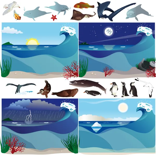Mořské scénáře a zvířata — Stockový vektor