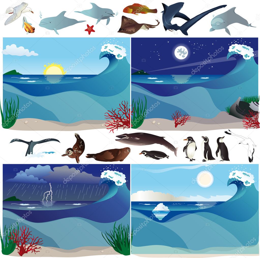 Sea scenarios and animals