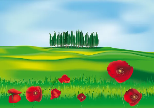 stock vector Tuscan countryside  with cypresses and poppies