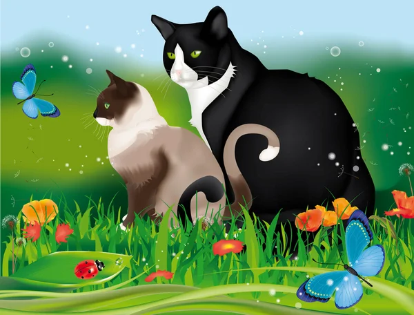 Twee katten in tuin — Stockvector