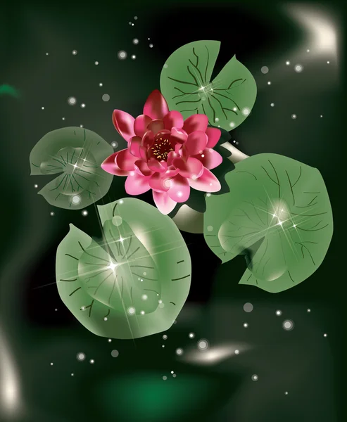Water lily en bladeren — Stockvector
