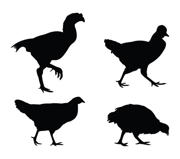 Rooster and chicken silhouettes — Stock Vector