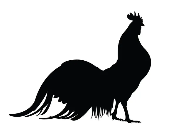 Coq — Image vectorielle