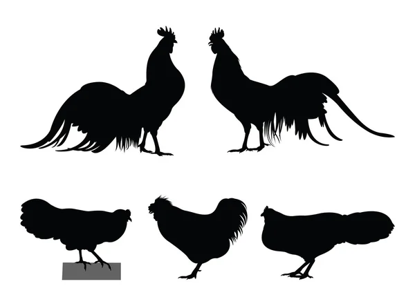 Силуэты петуха и курицы — стоковый вектор