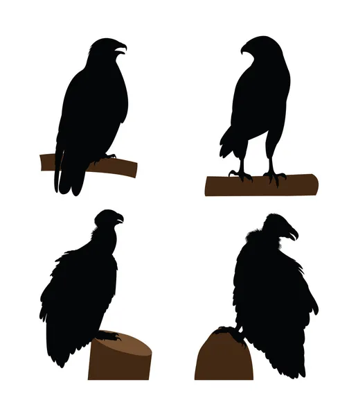 Αρπακτικά πουλιά σιλουέτες — Διανυσματικό Αρχείο