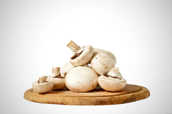 Fresh mushroom on wooden tray — Stock Photo, Image