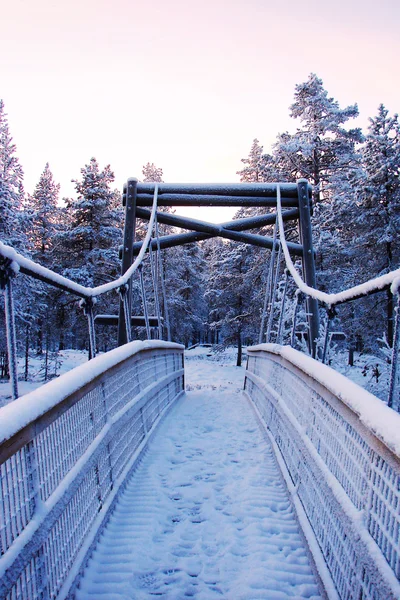 Wooden bridge to the wilderness in snow close-up — Stock Photo, Image