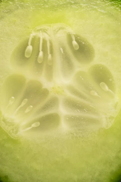 Stock image Cucumber slice macro