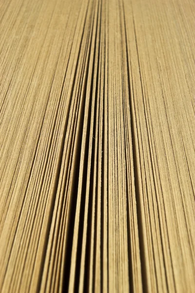 stock image Old book pages macro