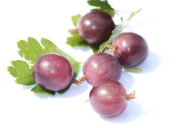 The red gooseberries in the yellow skin clipart