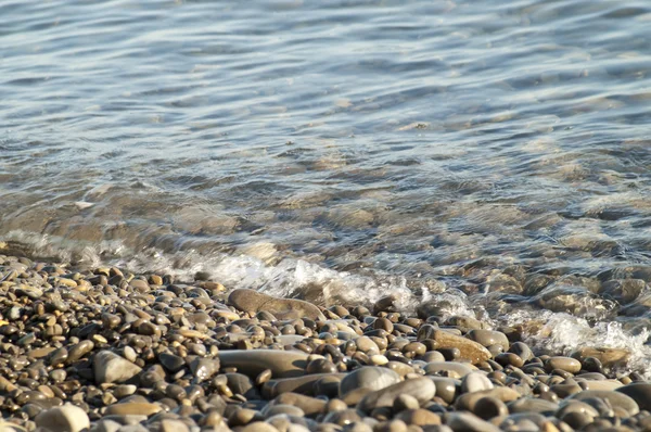 Mokre kamyki na brzegu morza — Zdjęcie stockowe