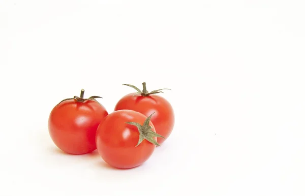 Árbol rojo tomates cereza aislados sobre fondo blanco — Foto de Stock