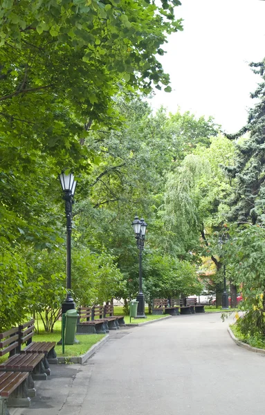 Parc municipal en été — Photo