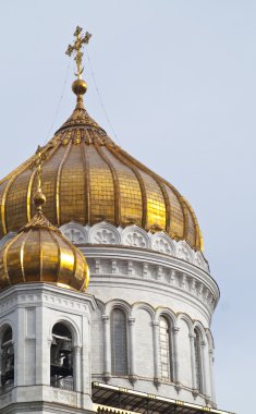 Altın cupolas Katedral Mesih'in savior, Moskova, Rusya