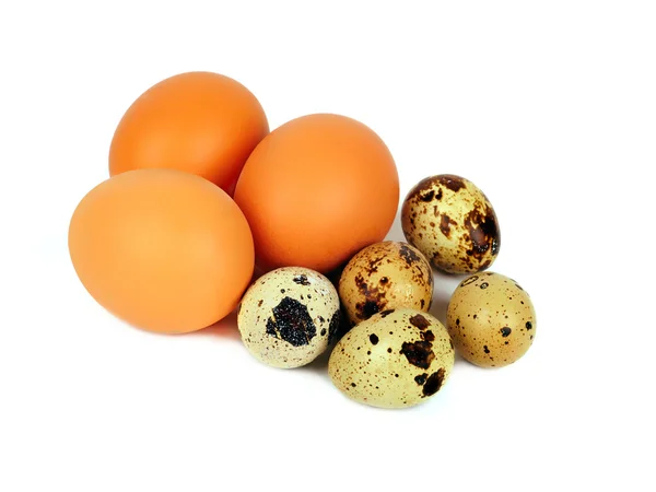 Jaja przepiórcze i kury na białym tle — Zdjęcie stockowe