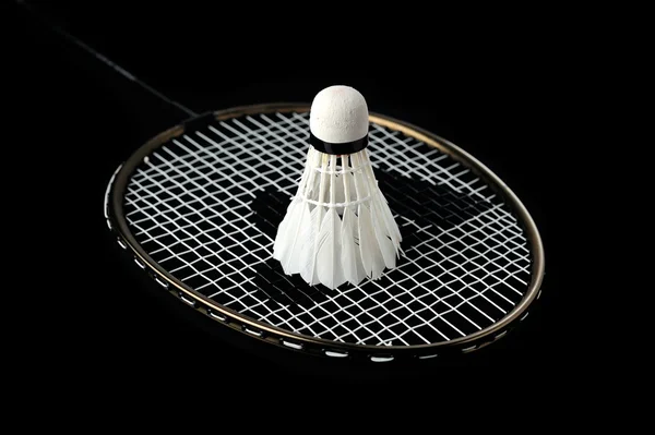 stock image Badminton racket and shuttlecock