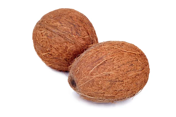 Kokosnoot vruchten geïsoleerd op witte achtergrond — Stockfoto